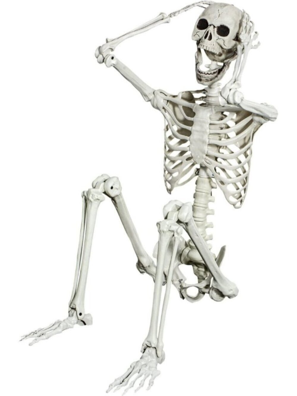 5.4ft Posable Halloween Skeleton Life Size Full Body Skeleton Bones Movable Join